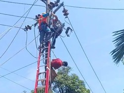 Aksi Spider-Man Panjat Tiang Listrik: Gagal Curi Kabel-Tersetrum