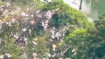 Pohon di Pinggir Kali Sunter Jakut Ini Jadi Sarang Layangan Nyangkut