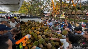 Serunya War Durian Jemongko di Pontianak, Ada yang Rela Datang dari Luar Kota