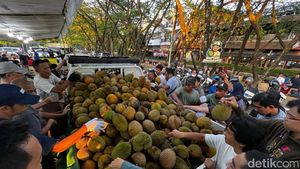 Serunya War Durian Jemongko di Pontianak, Ada yang Rela Datang dari Luar Kota
