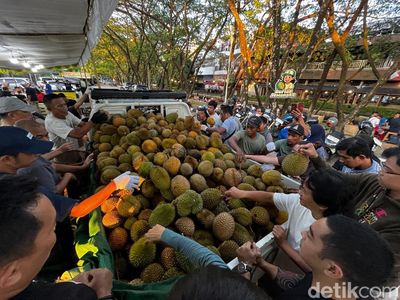 Serunya War Durian Jemongko di Pontianak, Ada yang Rela Datang dari Luar Kota