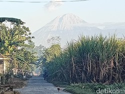 Gunung Semeru 5 Kali Erupsi, Lava Pijar Meluncur 1,5 Km ke Arah Tenggara