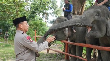 Kunjungi PLG Minas, Kapolda Riau Ajak Masyarakat Perkuat Konservasi Gajah