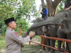 Kunjungi PLG Minas, Kapolda Riau Ajak Masyarakat Perkuat Konservasi Gajah