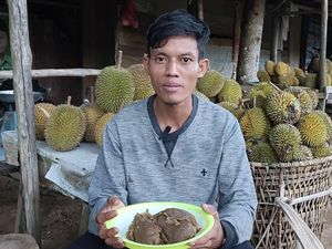 Harga Durian Anjlok hingga Rp 5.000, Petani di Kalbar Putar Otak Bikin Lempok