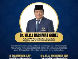 Profil Rachmat Gobel Anggota DPR yang Meninggal Dunia Hari Ini