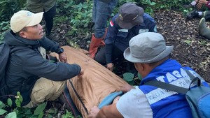 Pendaki Tersesat di Gunung Dempo Pagar Alam Usai Terpisah dari Rombongan