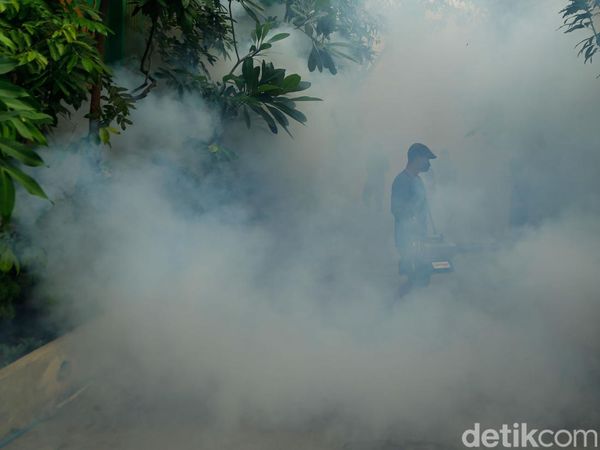 Fogging Dilakukan, Warga Tingkatkan Kewaspadaan DBD saat Musim Kemarau