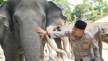 Dukung Inpres Prabowo, Green Policing Polda Riau Siap Kawal Pelestarian Gajah
