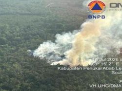 4 Daerah di Sumsel Terjadi Karhutla, Belasan Hektare Terbakar-PALI Belum Padam