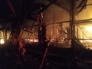 Kebakaran Landa Kandang Isi 10 Ribu Ayam di Kuningan, Sisakan 300 Ekor