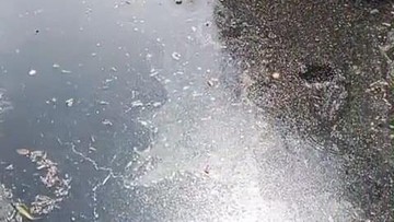 Warga Kopo Serang Keluhkan Sungai Cibeureum Jadi Bau Comberan