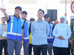 Wapres Gibran Cek Tol Probolinggo-Banyuwangi, Begini Progresnya