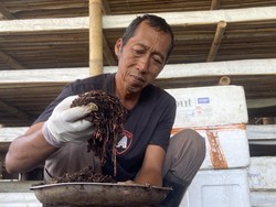 Mengubah Sampah Jadi Berkah dengan Cacing Tanah