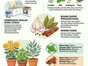 Infografis: 10 Bau yang Dibenci Kecoa, Dijamin Kabur!