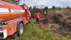 Karhutla di Kobar Belum Terbukti Disengaja, BPBD Duga Akibat Kelalaian