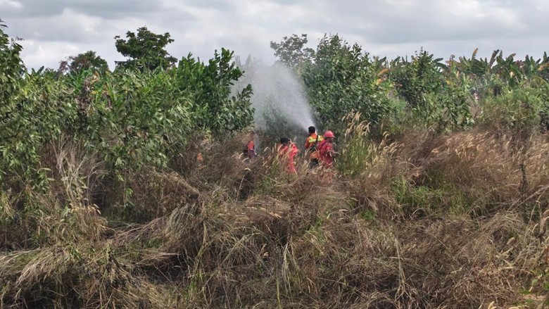 Karhutla Sungai Tendang Meluas, 10 Hektare Lahan Dekat Bandara Terbakar