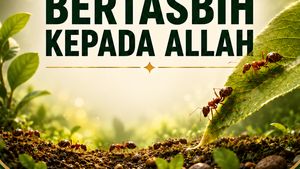 Semut Bertasbih kepada Allah SWT