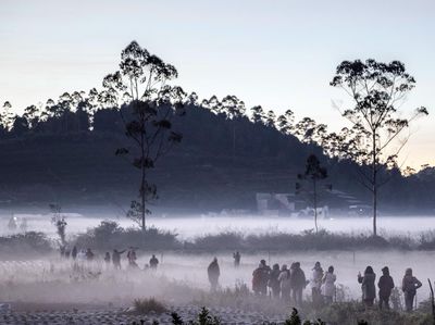 Suhu Minus 3 Derajat, Dieng Diselimuti Embun Beku