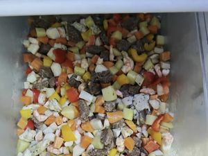 Tren Human Food Viral di China, Makanan Praktis Mirip Pakan Anjing!