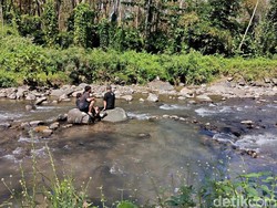 Kali Jompo Jember, Wisata Sungai Sejuk Favorit Saat Libur Sekolah