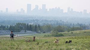 Asap Kebakaran Hutan Ancam Kesehatan Warga Calgary