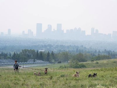 Asap Kebakaran Hutan Ancam Kesehatan Warga Calgary