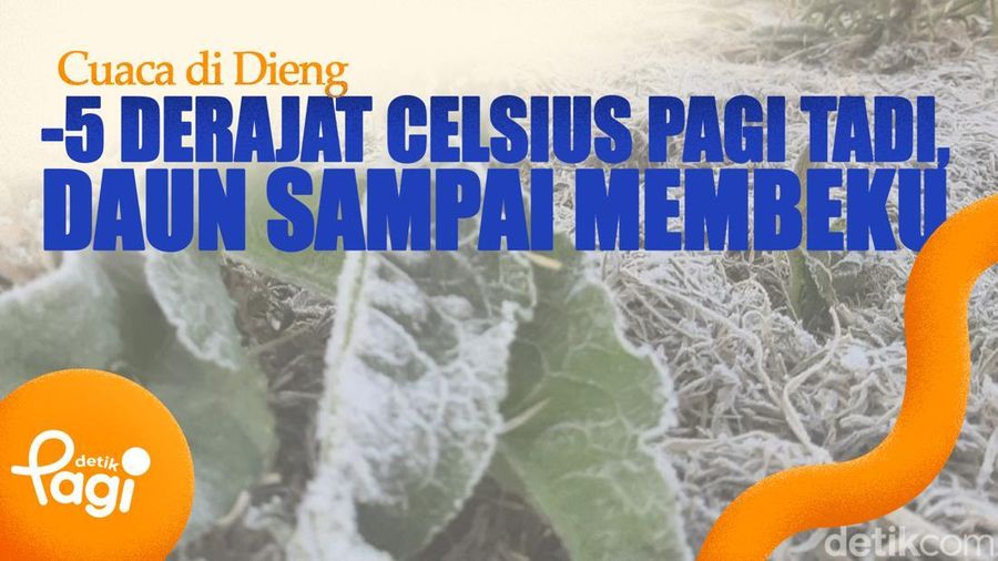Video: Cuaca di Dieng -6 Derajat Celsius Pagi Tadi, Daun Sampai Membeku