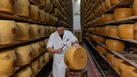 Gelombang Panas Ancam Produksi Keju Parmigiano