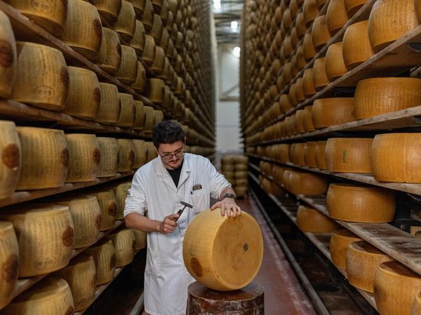 Gelombang Panas Ancam Produksi Keju Parmigiano