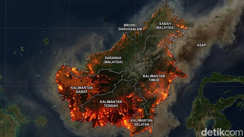 Kilas Balik Kebakaran Hutan Kalimantan 1997 yang Hanguskan Jutaan Hektare