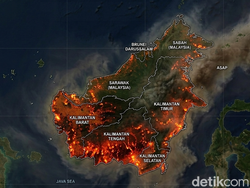 Kenapa di Kalimantan Sering Terjadi Karhutla? Cek 3 Alasannya