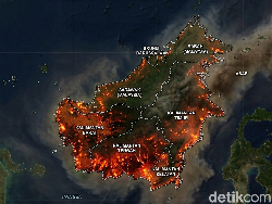 Kilas Balik Kebakaran Hutan Kalimantan 1997 yang Hanguskan Jutaan Hektare
