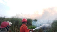 Karhutla di Ogan Ilir Meluas, 15 Hektare Lahan Terbakar