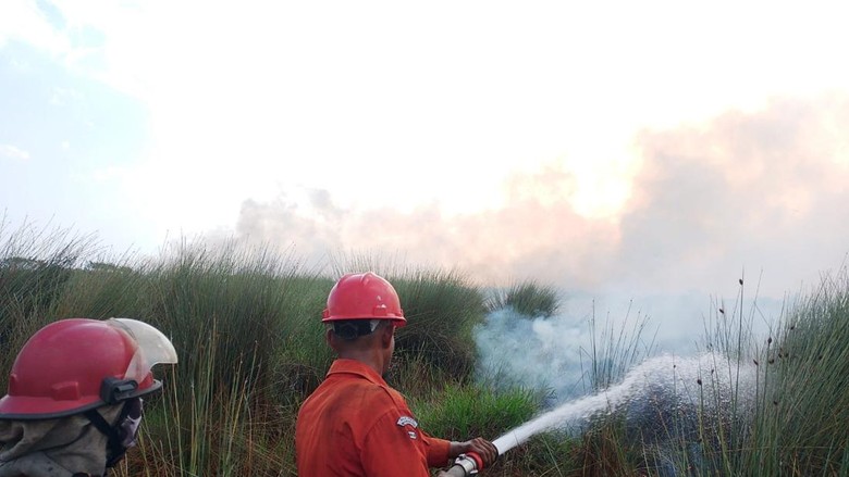 Karhutla di Ogan Ilir Meluas, 15 Hektare Lahan Terbakar