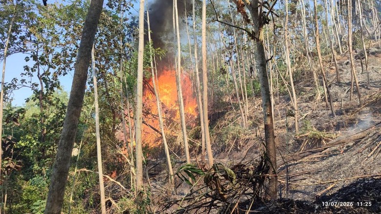 3,5 Hektare Lahan di Panggul Trenggalek Terbakar