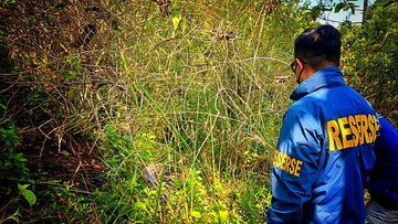 Geger Wanita Ditemukan Tinggal Kerangka di Sukabumi Ternyata Korban Pembunuhan