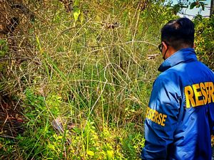 Kerangka Misterius di Hutan Jati Sukabumi Dievakuasi ke RS Bhayangkara