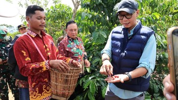 Gubernur Lampung Kenalkan Pupuk Hayati untuk Tingkatkan Produktivitas Kopi