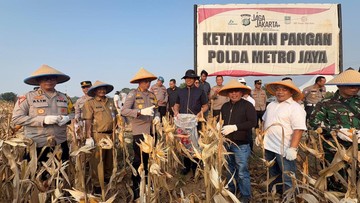 Dukung Ketahanan Pangan, Polres Bekasi Panen Raya 20 Ton Jagung