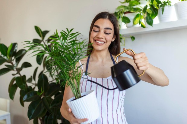 Rumah bebas stres bisa dimulai dari hal sederhana, seperti menambahkan tanaman hias di dalam rumah/Foto: Magnific/stefamerpik Rumah bebas stres bisa dimulai dari hal sederhana, seperti menambahkan tanaman hias di dalam rumah. Kehadiran unsur alami membantu menciptakan suasana yang lebih rileks sekaligus memperbaiki mood setelah menjalani aktivitas seharian. Tidak harus memilih tanaman yang sulit dirawat karena banyak pilihan yang tetap tumbuh baik dengan perawatan minimal.