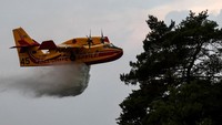 Pesawat Canadair Dikerahkan Padamkan Kebakaran Hutan Fontainebleau