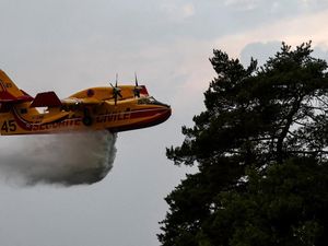Pesawat Canadair Dikerahkan Padamkan Kebakaran Hutan Fontainebleau