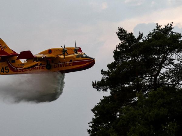 Pesawat Canadair Dikerahkan Padamkan Kebakaran Hutan Fontainebleau