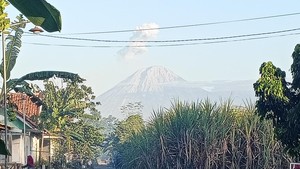Semeru Erupsi 4 Kali Pagi Ini, Semburkan Abu Vulkanik 1.300 Meter