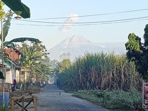 Semeru 4 Kali Erupsi, Abu Vulkanik Setinggi 1.300 Meter