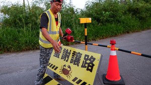 Konservasi Unik di Taiwan, Jalan Ditutup Demi Migrasi Kepiting Bakau