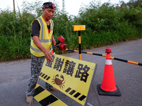 Konservasi Unik di Taiwan, Jalan Ditutup Demi Migrasi Kepiting Bakau