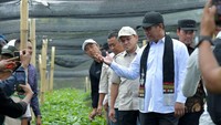 Mentan Dukung Pengembangan Kopi Gayo Pascabencana