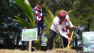 Kampanyekan Gerakan Tobat Ekologis, Menteri LH Siapkan 2 Miliar Pohon